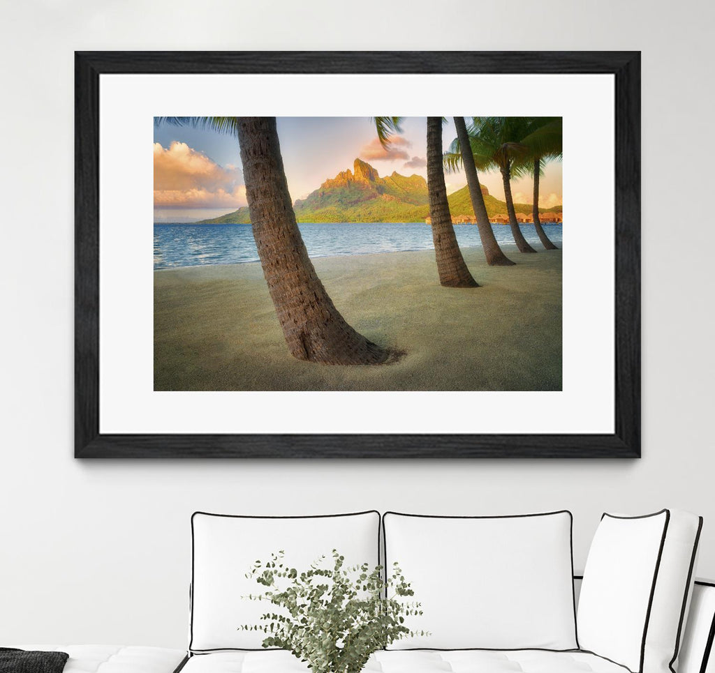 Palm Island de Dennis Frates sur GIANT ART - bleu tropical