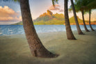 Palm Island by Dennis Frates on GIANT ART - blue tropical