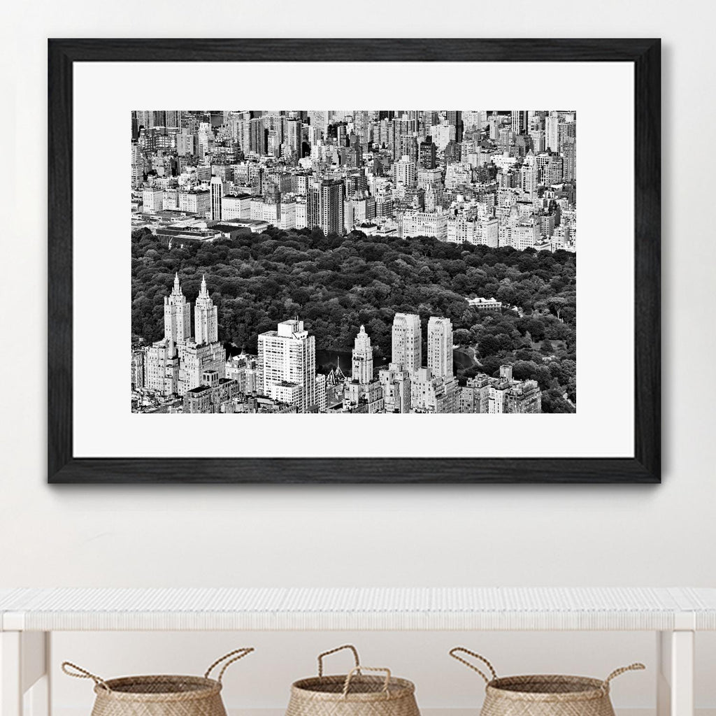 NYC Central Park par Daniel Stein sur GIANT ART - scène de ville blanche