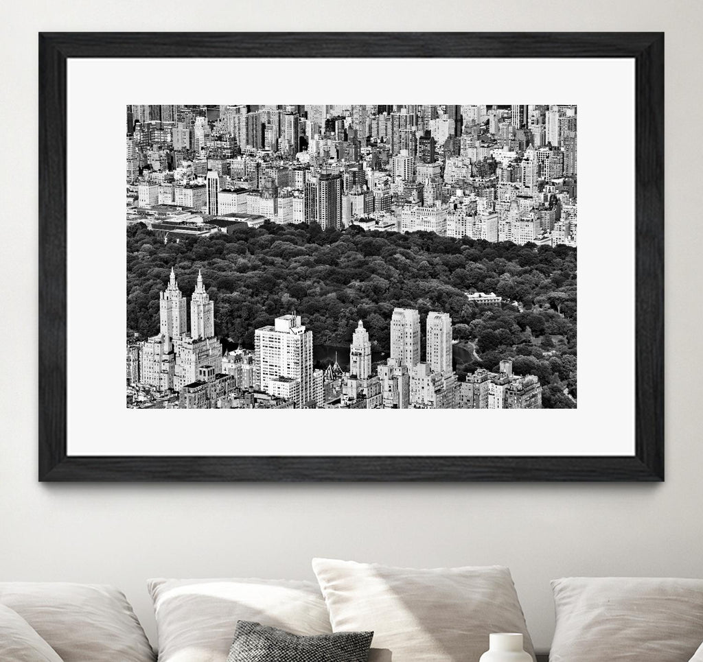 NYC Central Park par Daniel Stein sur GIANT ART - scène de ville blanche