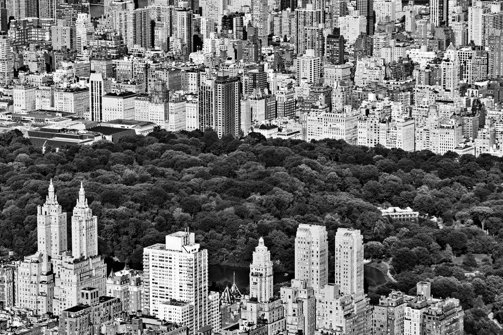 NYC Central Park by Daniel Stein on GIANT ART - white city scene