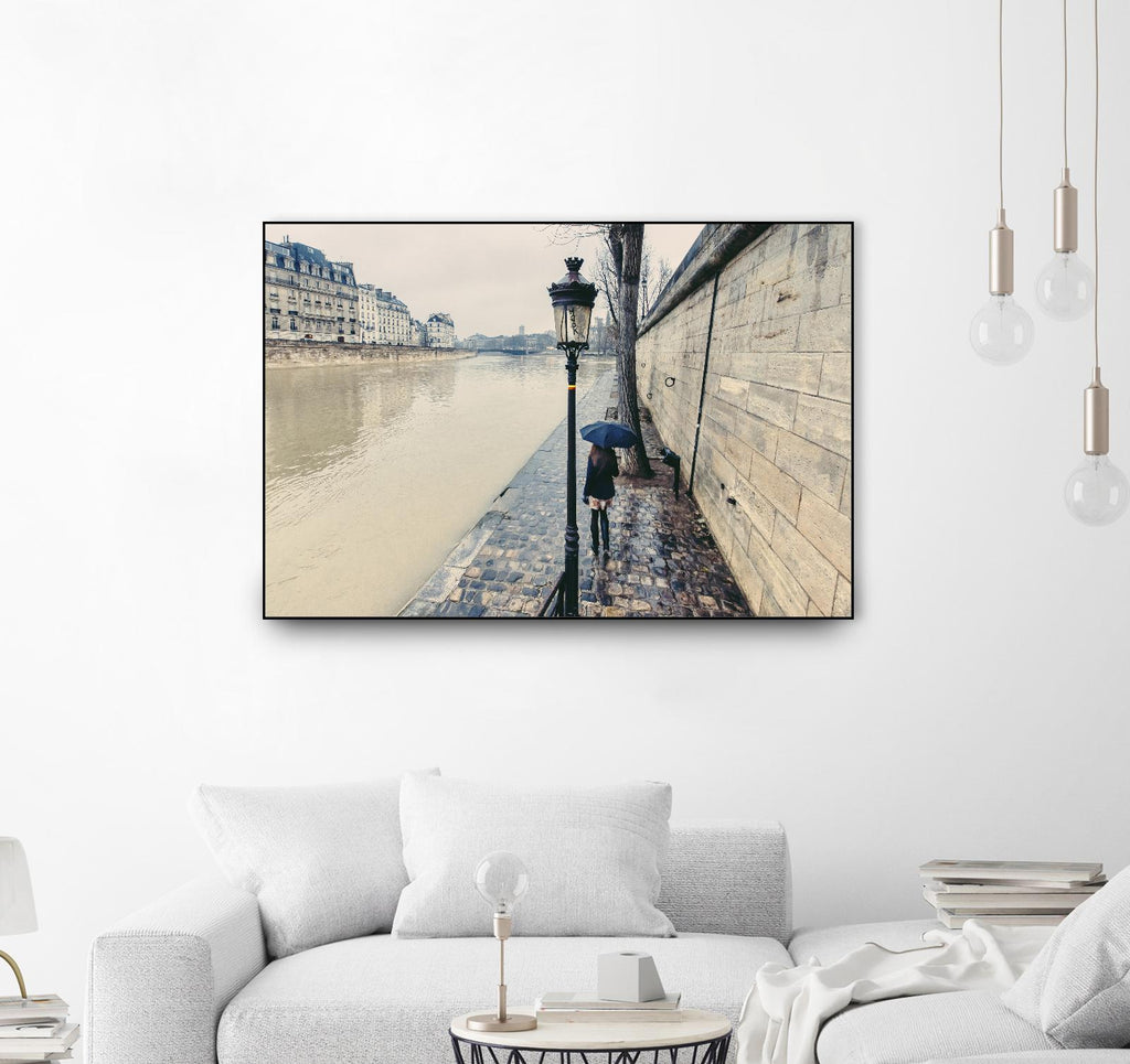 The Girl on the Seine River by Guilliame Gaudet on GIANT ART - grey city scene