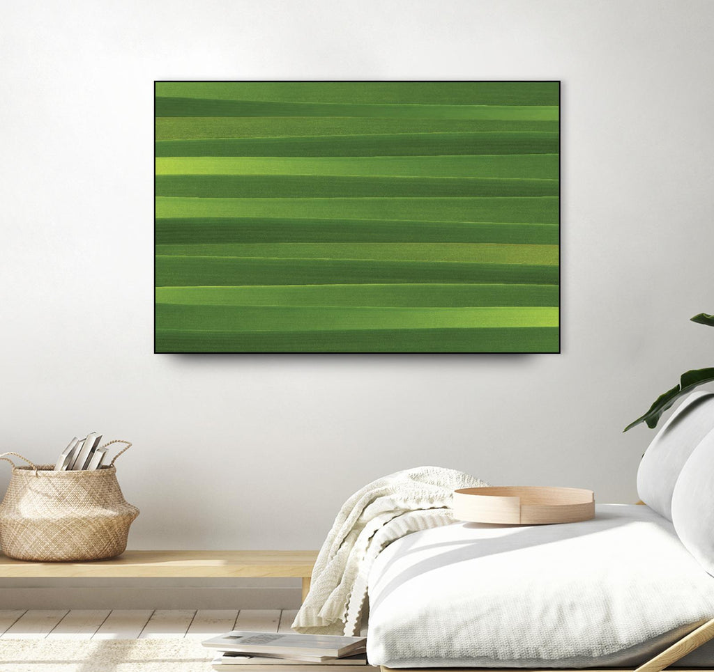 Green Sea by Terra Jungle on GIANT ART - green abstract