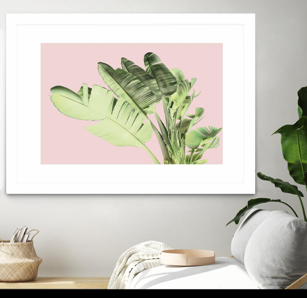 Tropical Velvet I by Ryan Hartson-Weddle on GIANT ART - pink tropical banana leaf