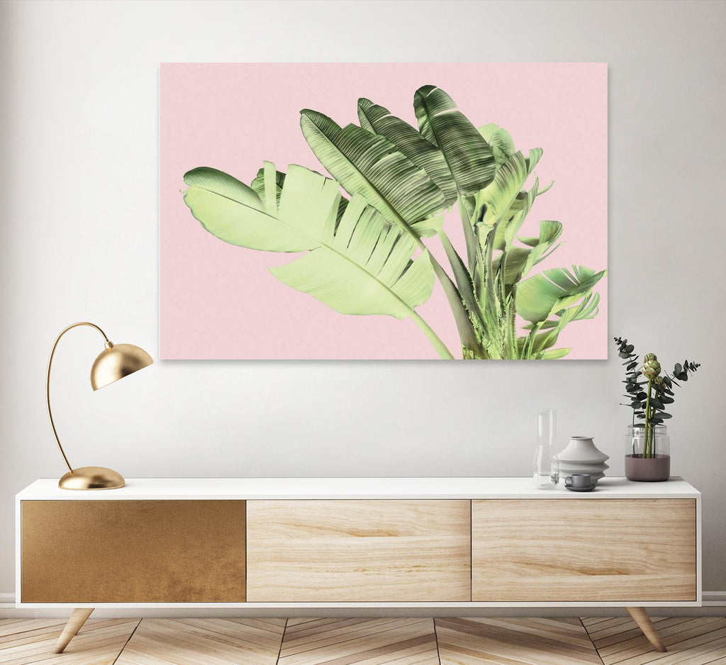Tropical Velvet I de Ryan Hartson-Weddle sur GIANT ART - feuille de banane tropicale rose