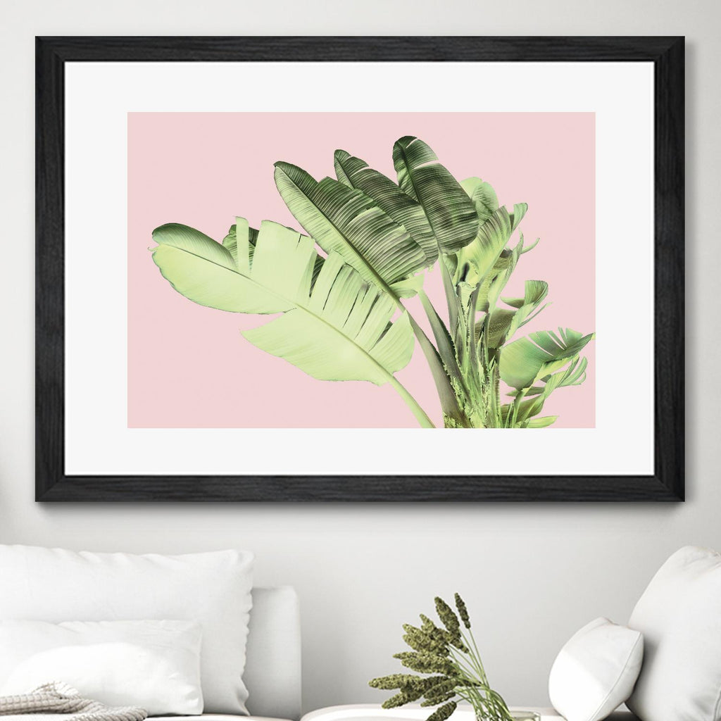 Tropical Velvet I de Ryan Hartson-Weddle sur GIANT ART - feuille de banane tropicale rose