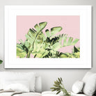 Tropical Velvet III by Ryan Hartson-Weddle on GIANT ART - green tropical