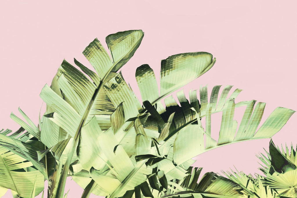 Tropical Velvet III par Ryan Hartson-Weddle sur GIANT ART - vert tropical