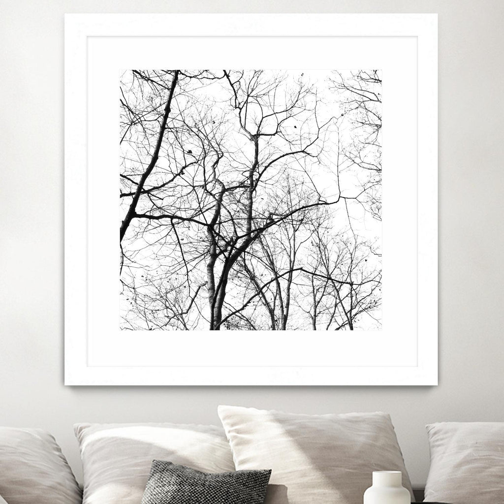 Billows I by Judy Stalus on GIANT ART - black trees