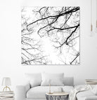 Billows II by Judy Stalus on GIANT ART - black trees