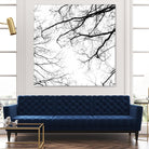 Billows II by Judy Stalus on GIANT ART - black trees