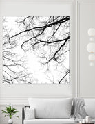 Billows II by Judy Stalus on GIANT ART - black trees