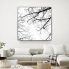 Billows II by Judy Stalus on GIANT ART - black trees