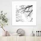 Billows II by Judy Stalus on GIANT ART - black trees