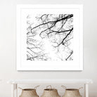 Billows II by Judy Stalus on GIANT ART - black trees