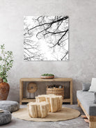 Billows II by Judy Stalus on GIANT ART - black trees