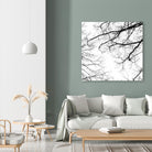 Billows II by Judy Stalus on GIANT ART - black trees