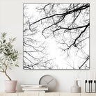 Billows II by Judy Stalus on GIANT ART - black trees