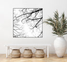 Billows II by Judy Stalus on GIANT ART - black trees