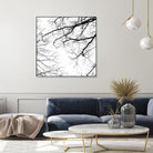 Billows II by Judy Stalus on GIANT ART - black trees