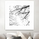 Billows II by Judy Stalus on GIANT ART - black trees