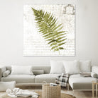 Fern II by Asia Jensen on GIANT ART - green botany