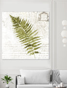 Fern II by Asia Jensen on GIANT ART - green botany