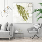 Fern II by Asia Jensen on GIANT ART - green botany