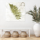 Fern II by Asia Jensen on GIANT ART - green botany