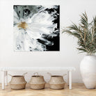 Black Peony by Asia Jensen on GIANT ART - white floral