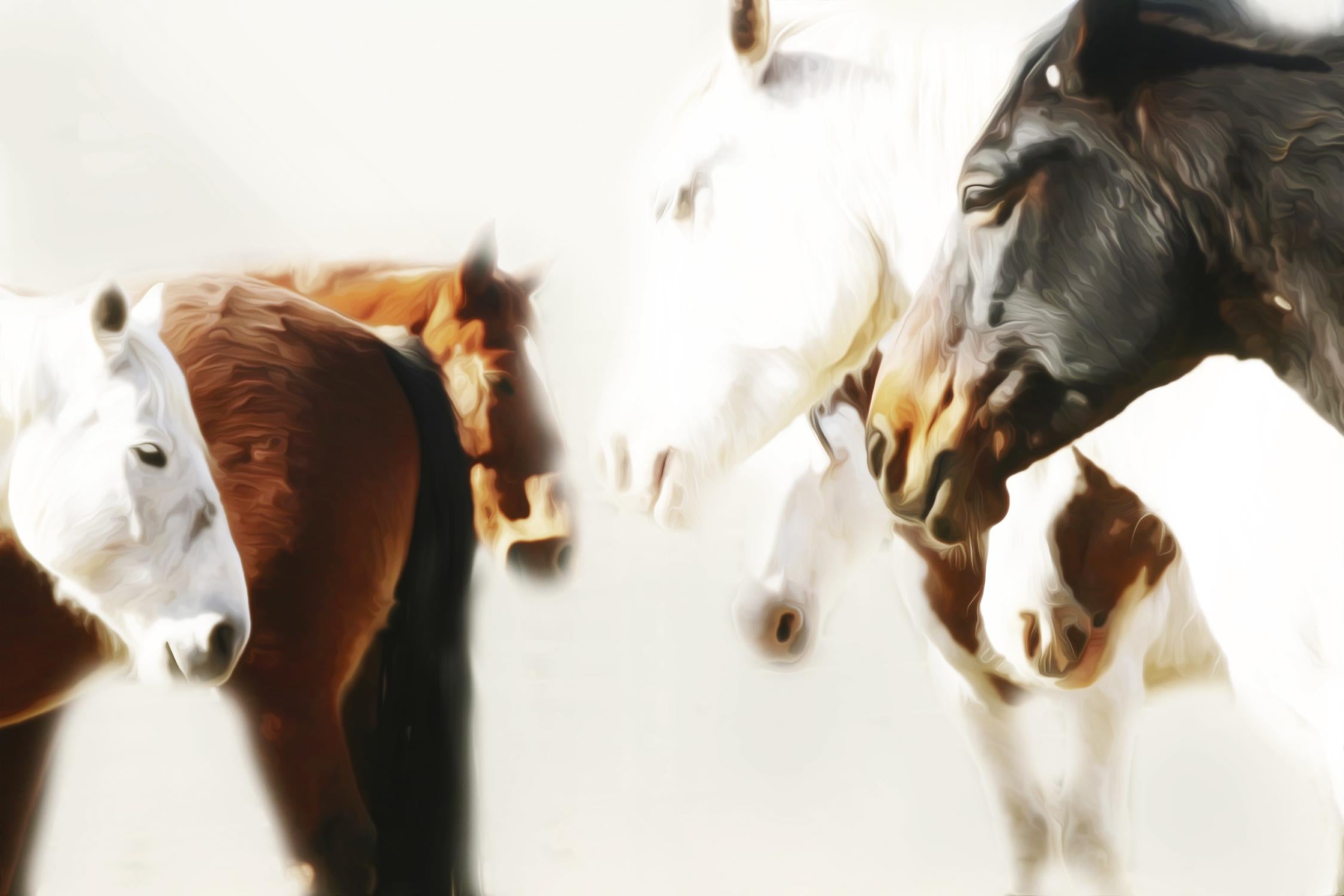 The Herd by Kari Brooks on GIANT ART - brown animals