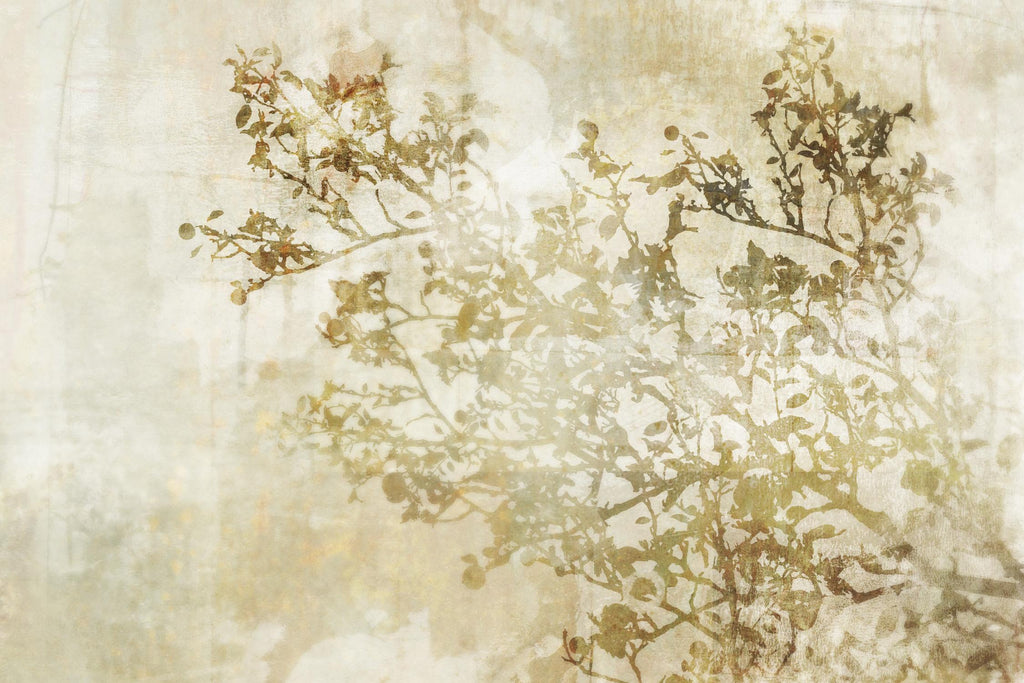 A Dream of Trees I par Ken Roko sur GIANT ART - botanique blanche