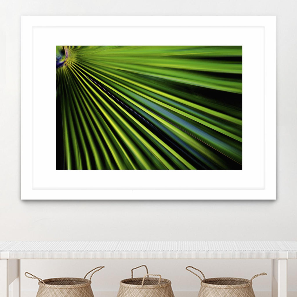 Tropical Bliss II by Norm Stelfox on GIANT ART - green photo art