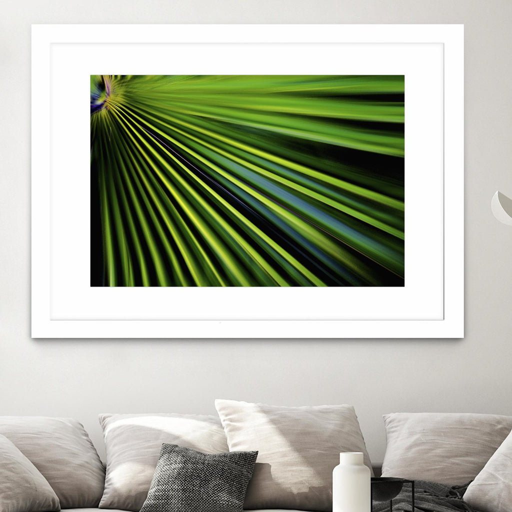 Tropical Bliss II by Norm Stelfox on GIANT ART - green photo art