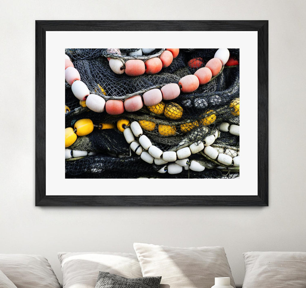 Coral Link II by Norm Stelfox on GIANT ART - white photo art