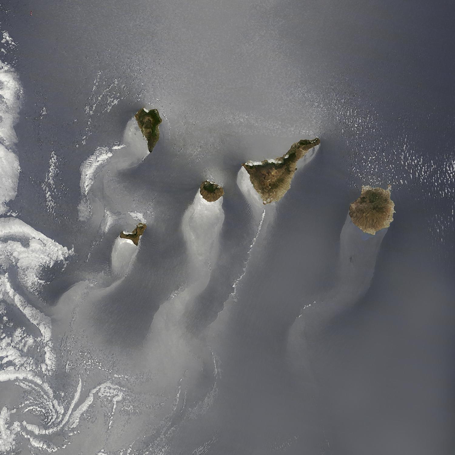 Canary Islands by Norm Stelfox on GIANT ART - green photo art