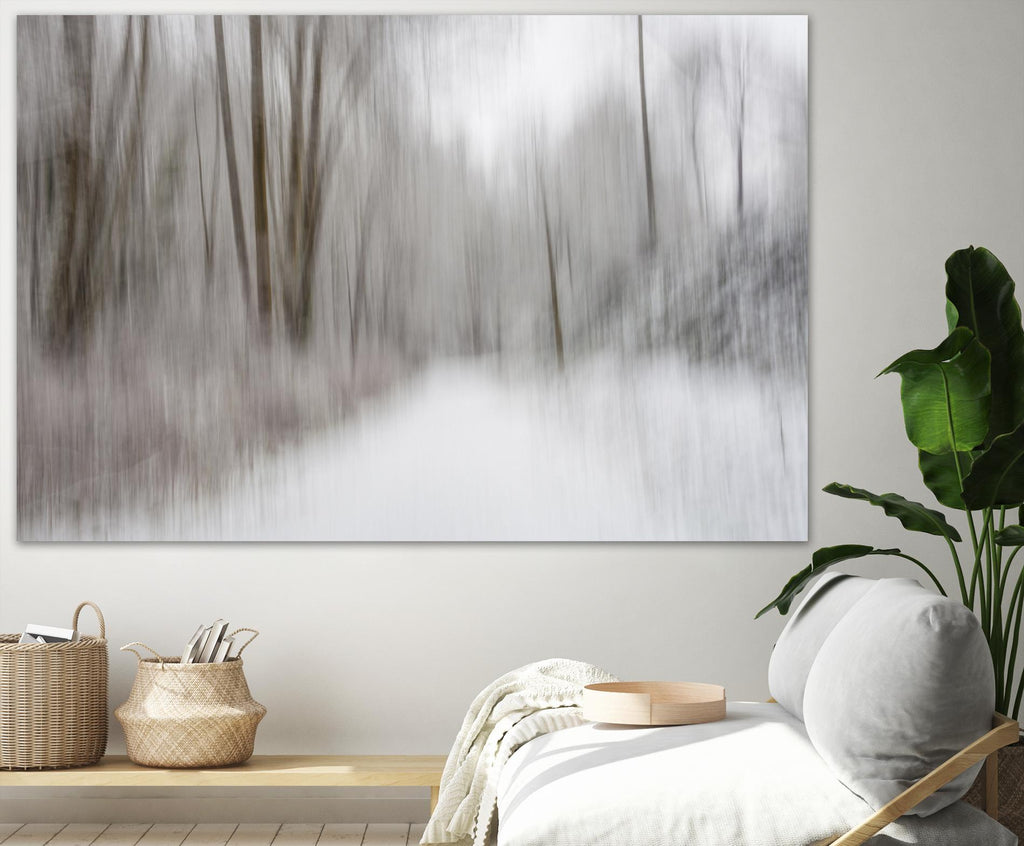 Foggy Lichen II by Norm Stelfox on GIANT ART - brown trees