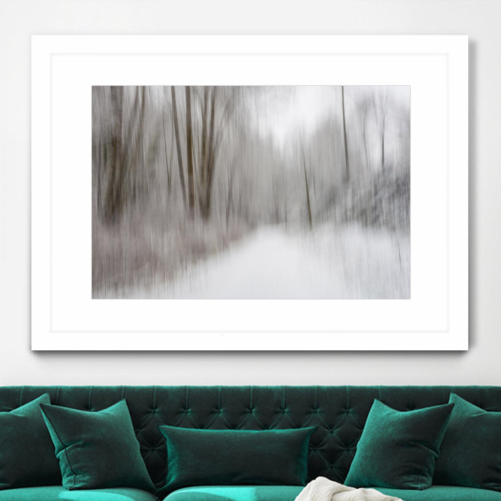 Foggy Lichen II by Norm Stelfox on GIANT ART - brown trees
