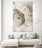 Sea Shell II by Norm Stelfox on GIANT ART - grey nautical