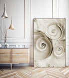 Sea Shell II by Norm Stelfox on GIANT ART - grey nautical
