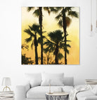 Morning Palm Tree I by Rick Novak on GIANT ART - yellow tropical