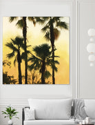 Morning Palm Tree I by Rick Novak on GIANT ART - yellow tropical