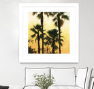 Morning Palm Tree I by Rick Novak on GIANT ART - yellow tropical