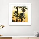Morning Palm Tree I by Rick Novak on GIANT ART - yellow tropical