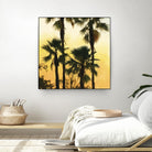 Morning Palm Tree I by Rick Novak on GIANT ART - yellow tropical