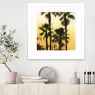 Morning Palm Tree I by Rick Novak on GIANT ART - yellow tropical
