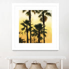 Morning Palm Tree I by Rick Novak on GIANT ART - yellow tropical