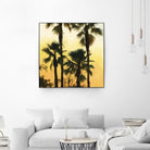 Morning Palm Tree I by Rick Novak on GIANT ART - yellow tropical