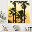 Morning Palm Tree I by Rick Novak on GIANT ART - yellow tropical