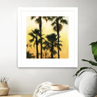Morning Palm Tree I by Rick Novak on GIANT ART - yellow tropical